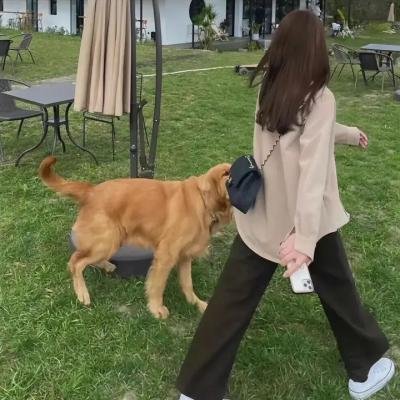 凶手正在看著你